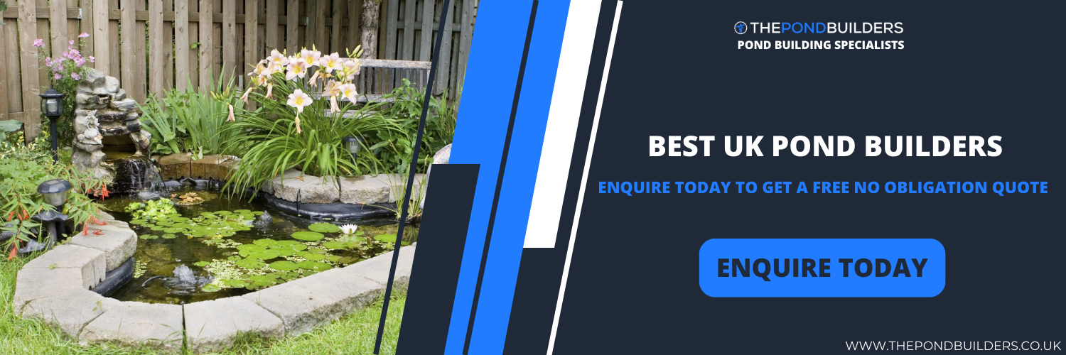 Best UK Pond Builders